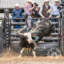image 7 Matt Zomer: The Thrilling Journey of a Fearless Bull Rider